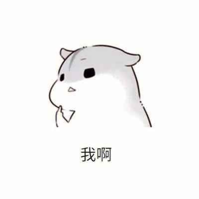 小仓鼠套路别人表情包