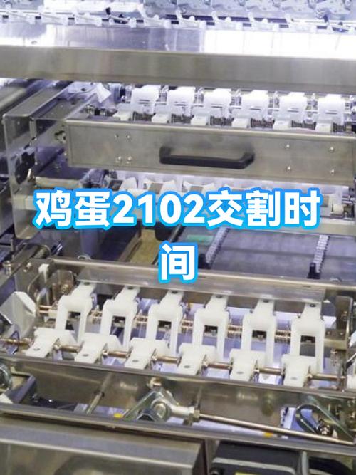 鸡蛋交割新规则缩略图