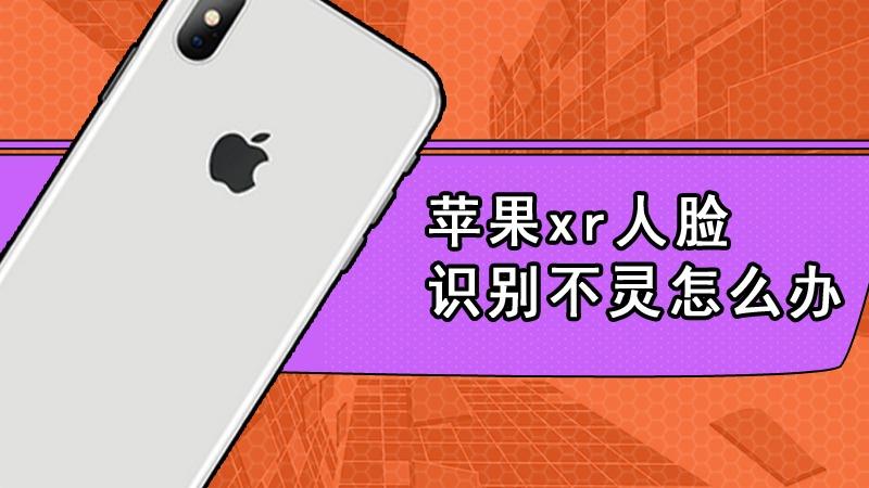 iphonexr突然无法识别面部