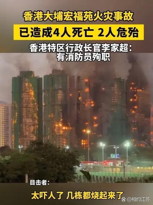 引燃1+v1年下许洛岛