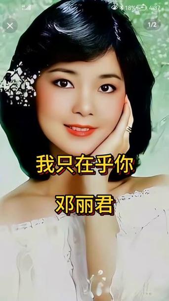 歌曲我只在乎你原唱图标
