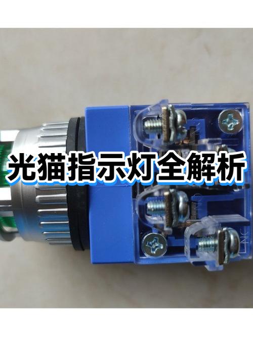 猫灯闪的解决方法
