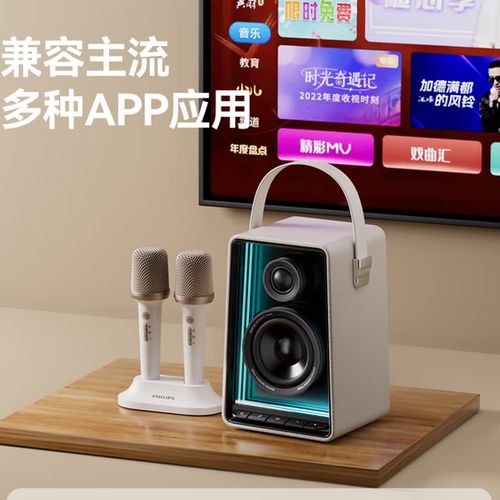 音响内置麦克风有什么用