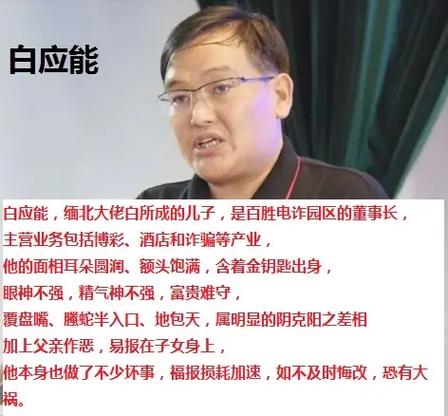 百胜集团简介董事长