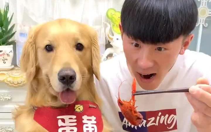 金毛蛋黄输入法