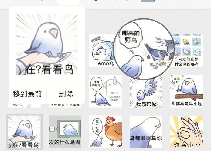 小鸟看看一天可以赚多少钱
