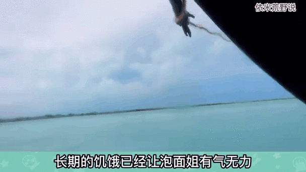 美女赤身荒岛生存