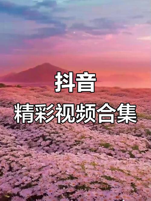 腾酷视频app的亮点