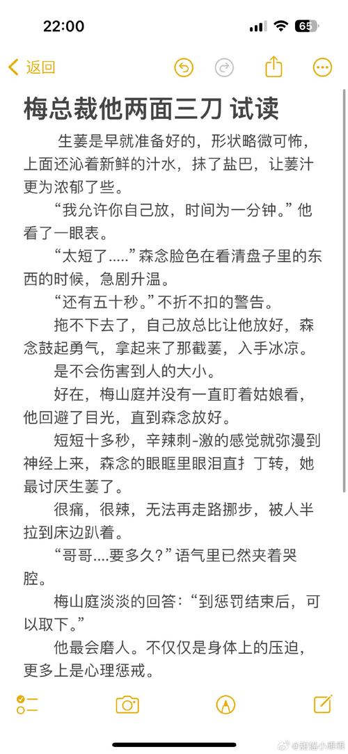 万钧石含玉寒梅墨香小说