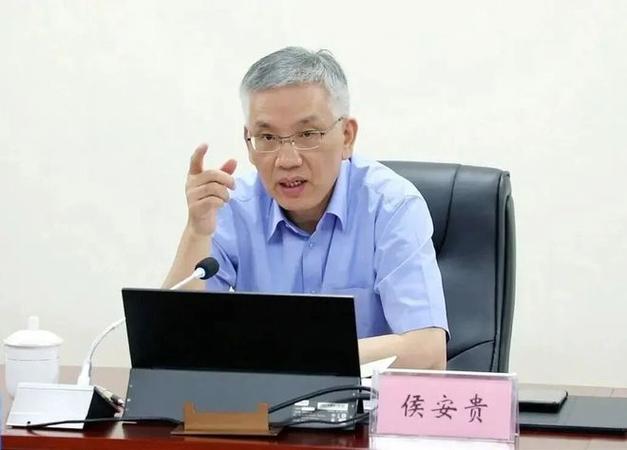 中国宝武集团董事长什么级别