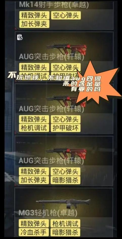 大龙Aug是哪4个词条