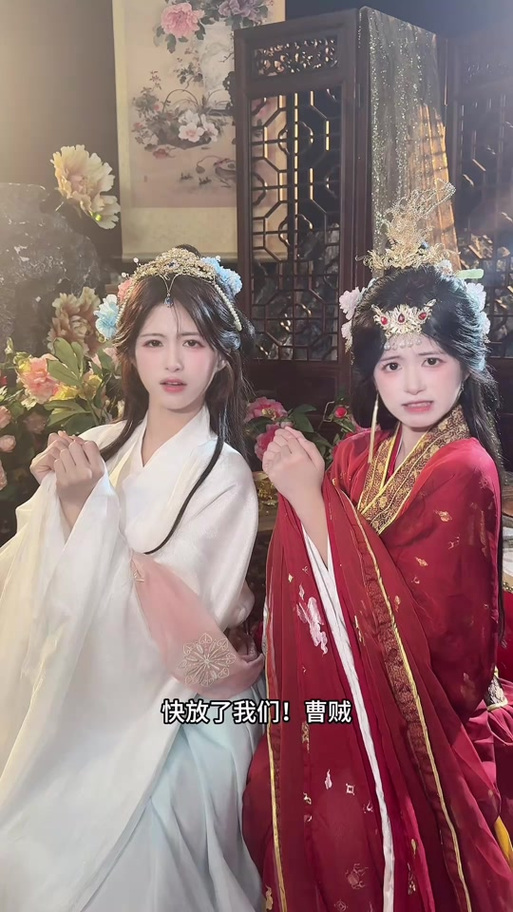 抖音之从曹贼女网红开始缩略图