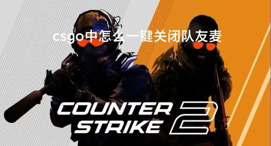 csgo怎么关闭队友语音