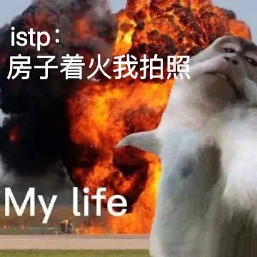 房子表情包