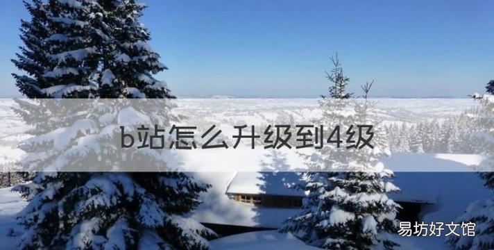 在B站4级怎么快速升5级