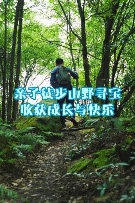 我绑定了山野寻宝系统
