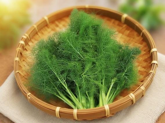 茴香菜是回奶还是下奶
