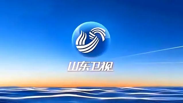 山东卫视包装2010