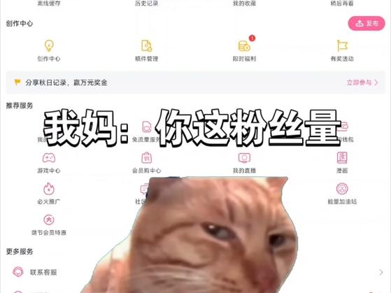 b站账号是什么