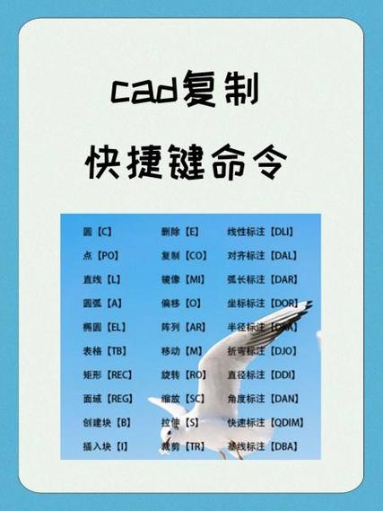 复制物品的指令