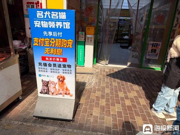 分期猫里面的能贷到钱吗