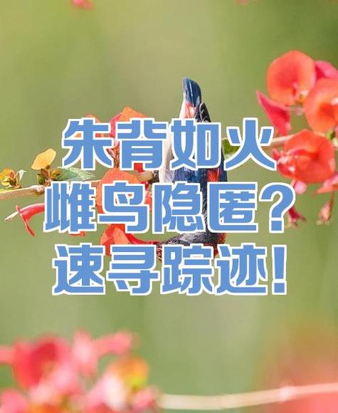 ps怎么消除打开记录