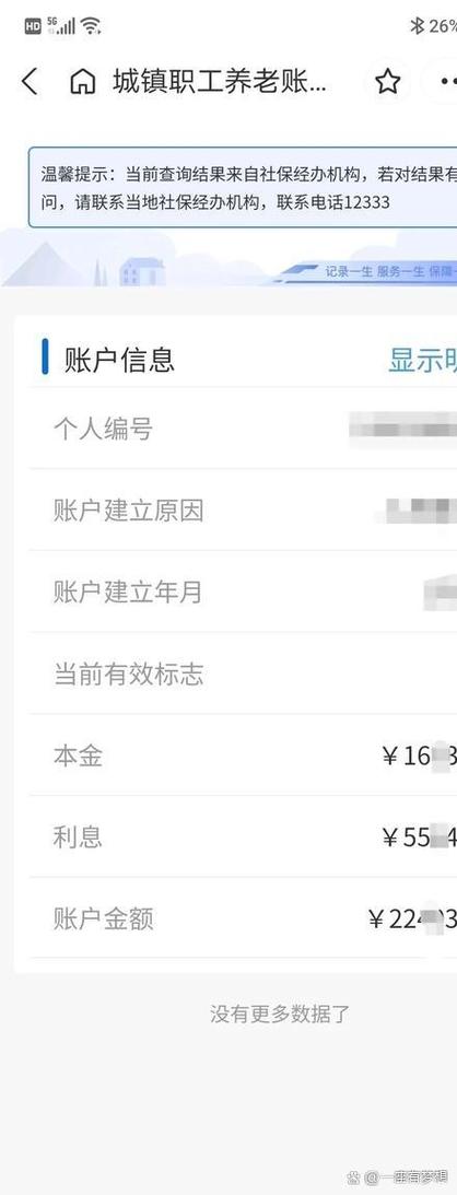 养老金个人账户余额查询