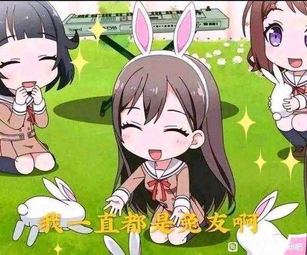 测测你和bangdream