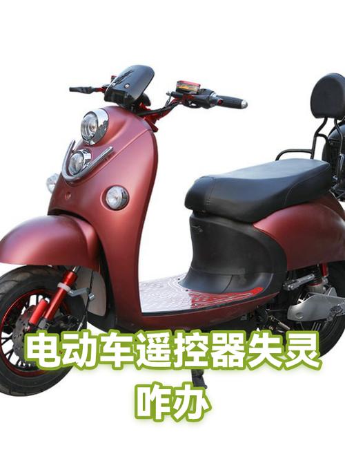 电动车电遥控器丢了怎么办游戏截图