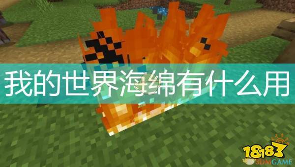 我的世界海绵怎么得海绵有什么用