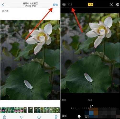 苹果拍照怎么虚化背景缩略图