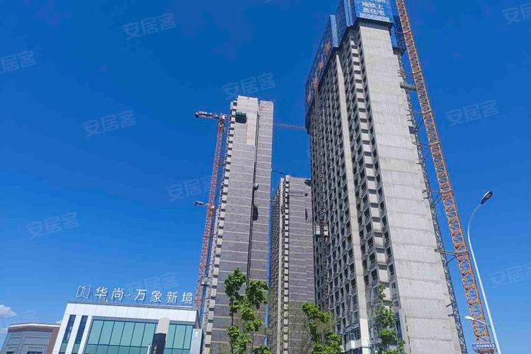 苏格交友app改名后叫什么