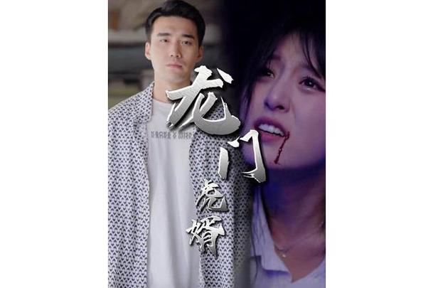 龙门虎婿 小说缩略图