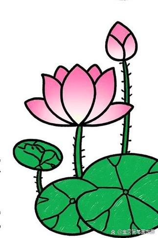 8岁～12岁画