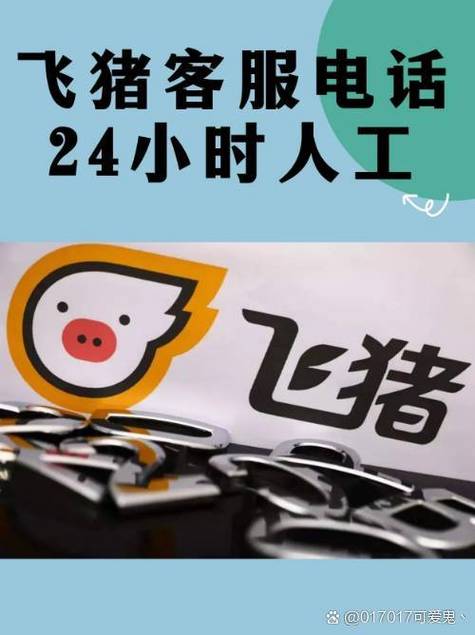 飞猪联系电话