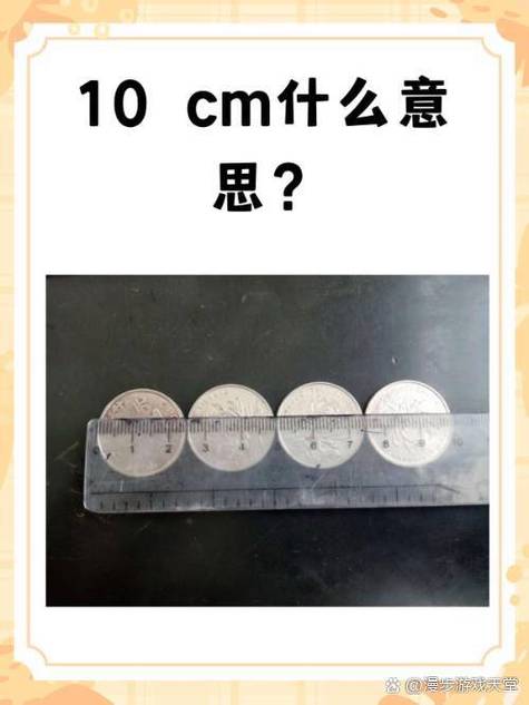十厘米尺