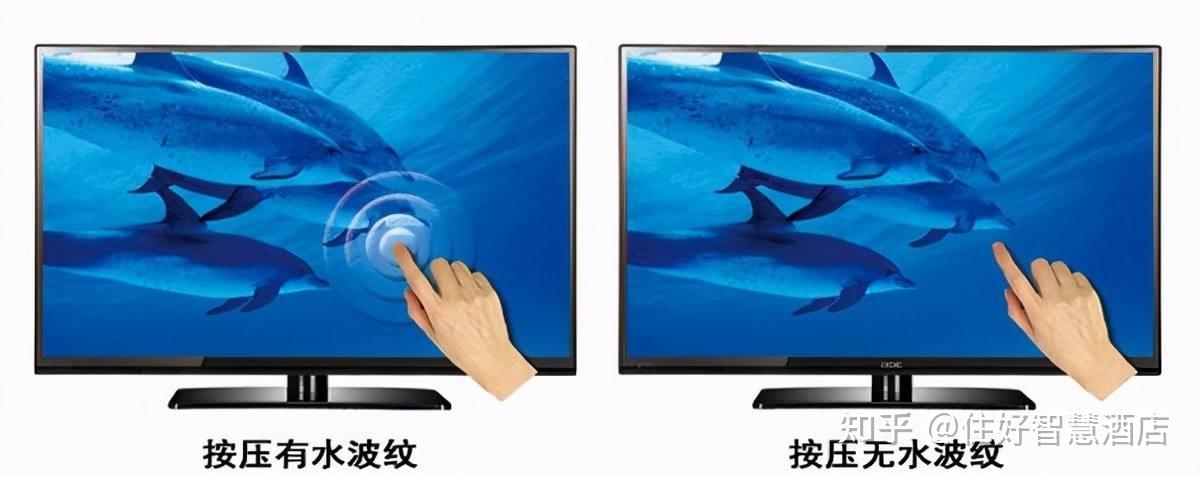 曲屏和直屏手机壳一样吗