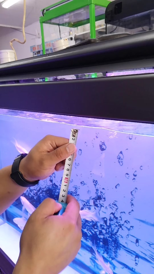森森鱼缸显示器温度怎么设置