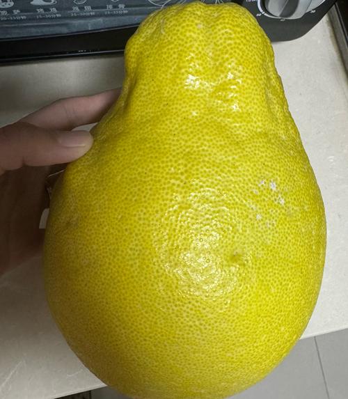 柚子什么样是坏了