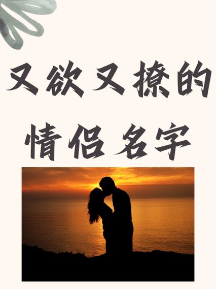 沈墨辞的《南风不渡》讲了什么