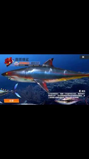 1.0主线能钓多大的鱼缩略图