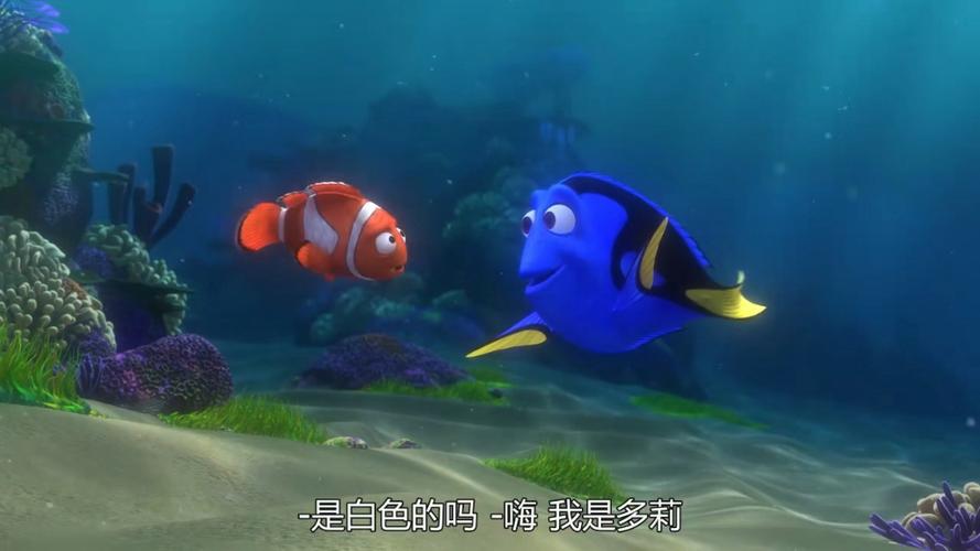 海底总动员国语在线播放
