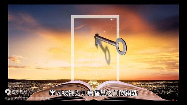 Learned翻译