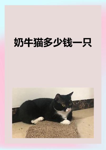 我自己的宠物店无限钞票