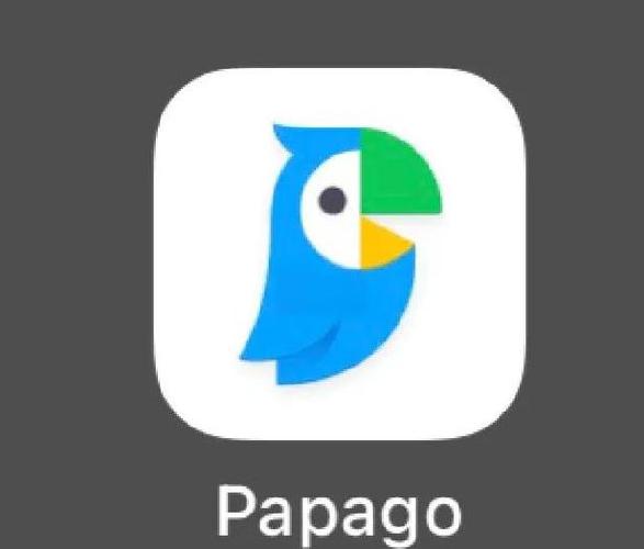 naverpapago官方下载截图