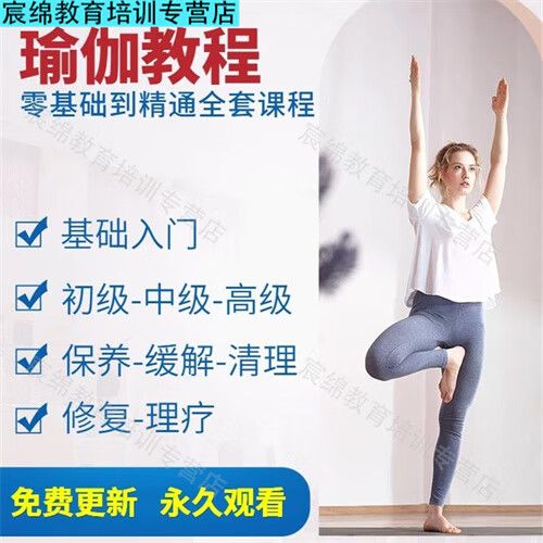 瑜伽教学视频初级全套