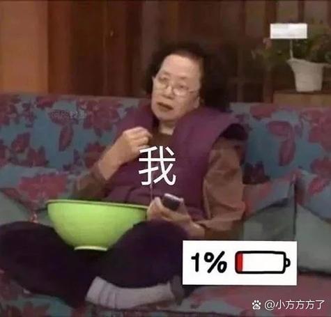 我的技能全靠偷