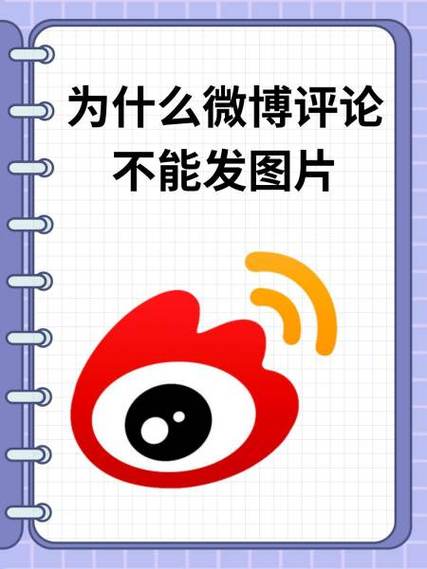 微博怎样不显示性别