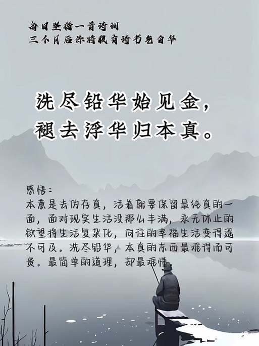 千帆过尽皆是客,洗尽铅华谁人知