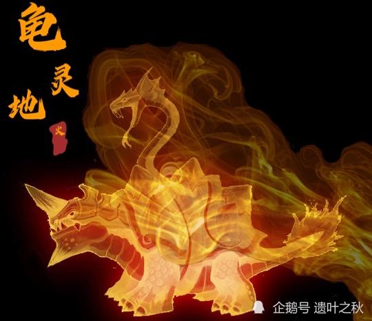乌龟和王八哪个有灵性